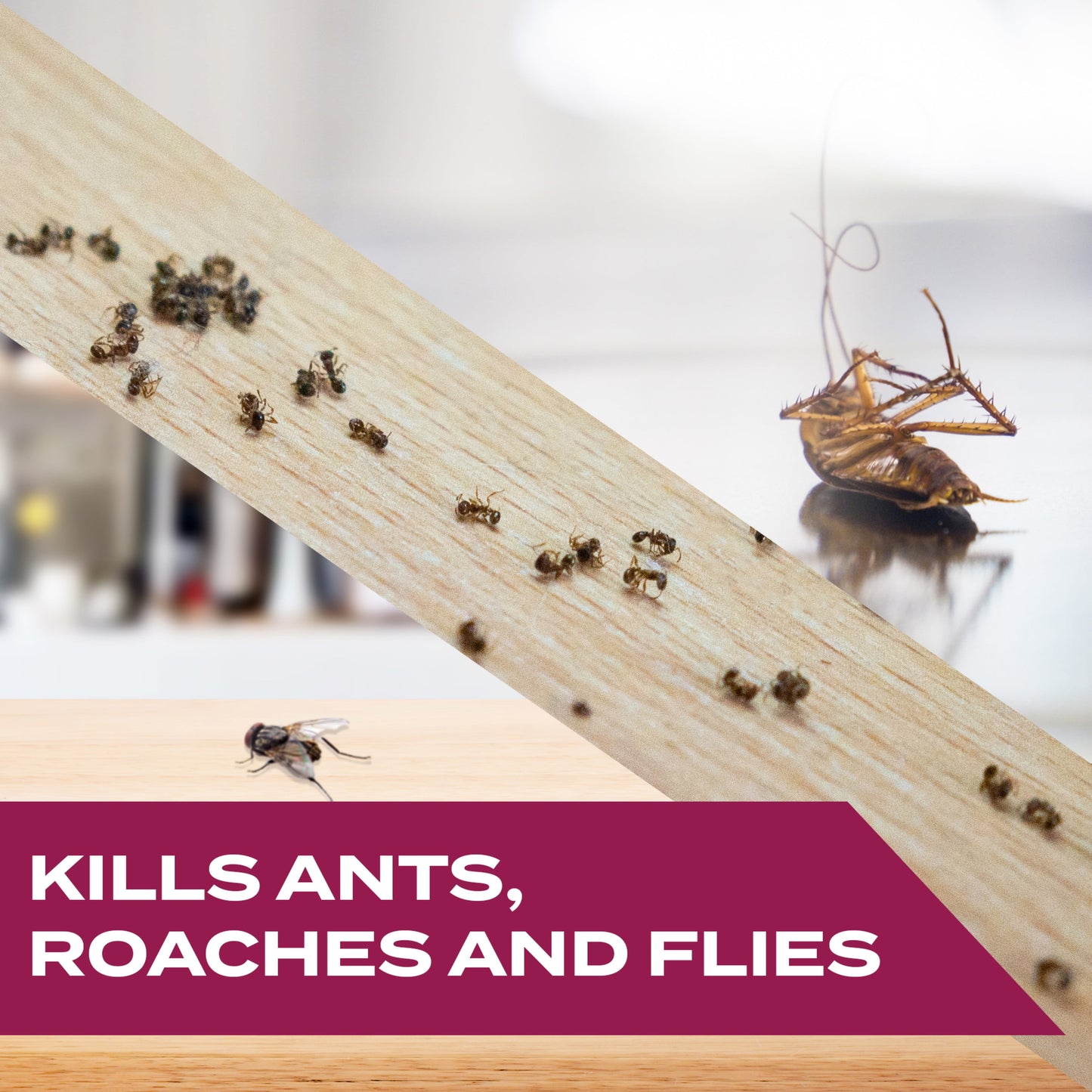 ANTS ROACHES FLIES AR 6X12OZ