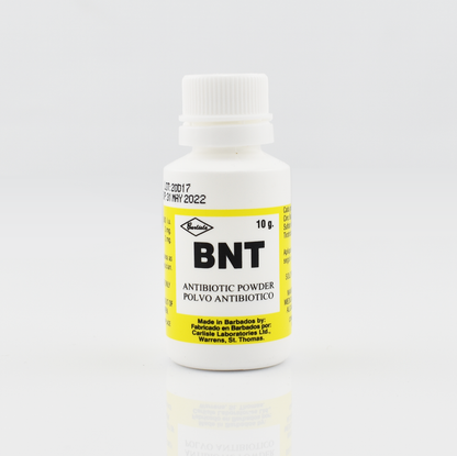 BIOACTIVE ITCH&RASH BR 82GM