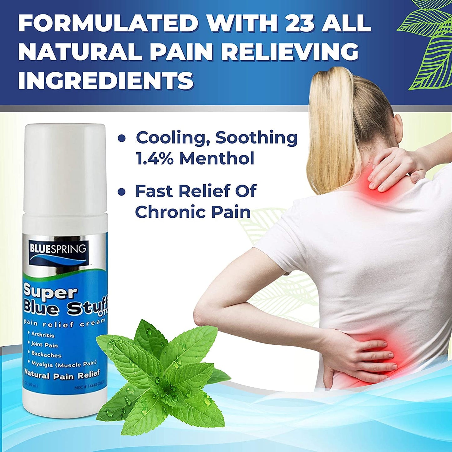 GNP ARTHRITIS PAIN RUB CREAM 3OZ