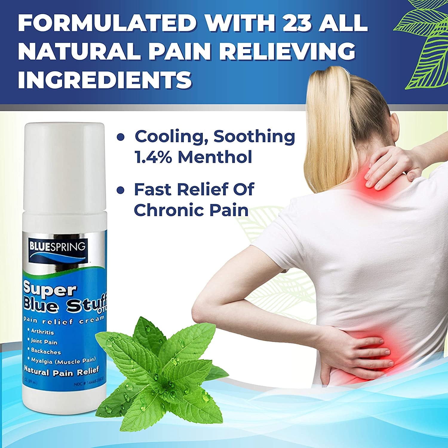 GNP ARTHRITIS PAIN RUB CREAM 3OZ