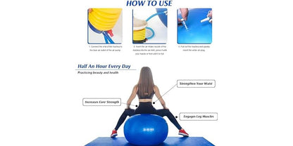 SC 65CM EXERCISE BALL WITH PMP