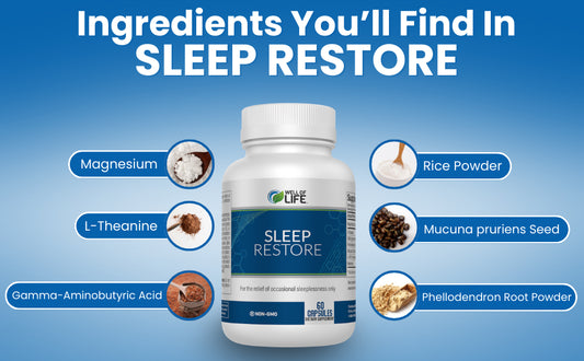 SLEEP AND RESTORE CP 60
