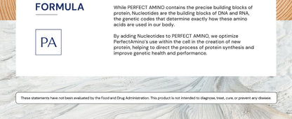 BODYHEALTH PRFCT AMINO ELCTRO,WTRMLN