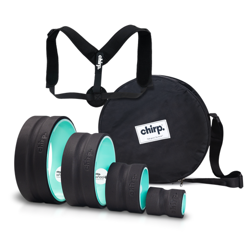 CHIRP FOOT WHEEL PLUS EQ DSHP RL