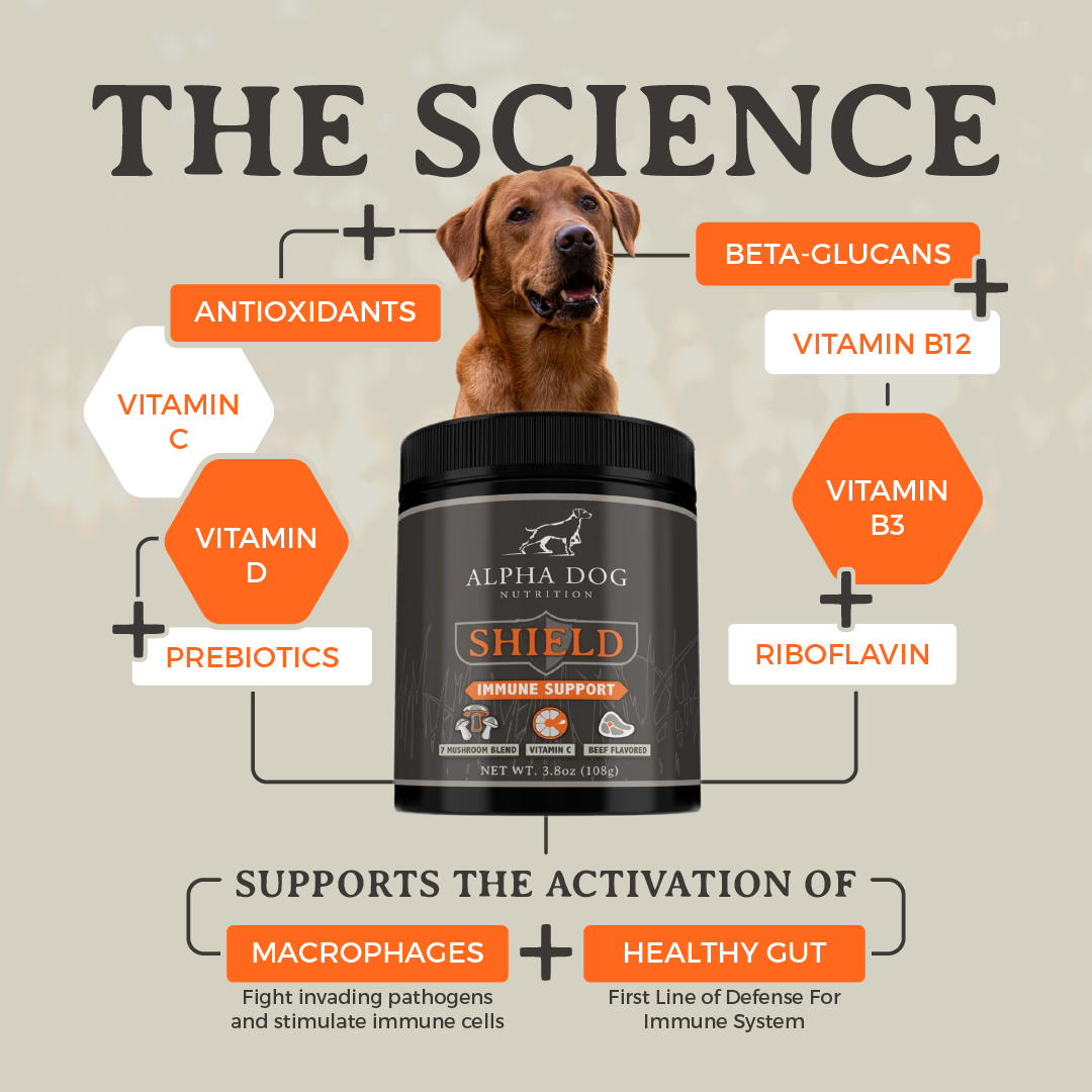 DOG SUPP,DETOX,IMMUNITY