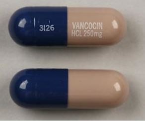 VANCOMYCIN HCL CP 250MG 2X10UD