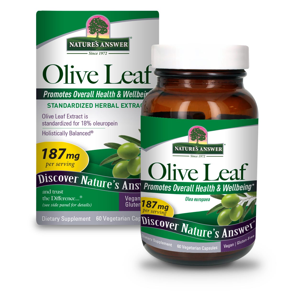 NWY OLIVE LEAF CP 60