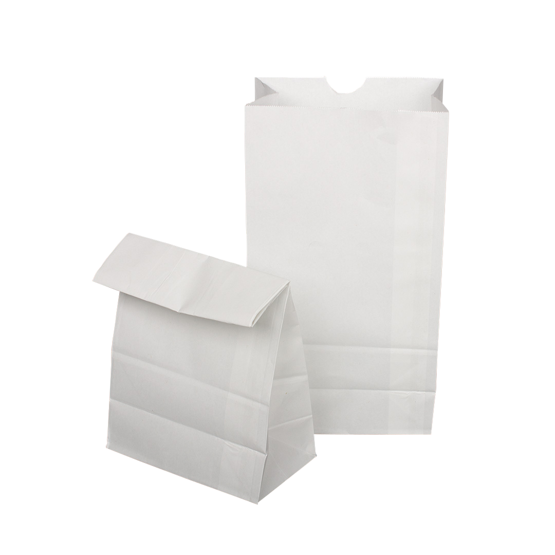 BAG PAPER AYP WHT 4LB 5X3.3X10 2000