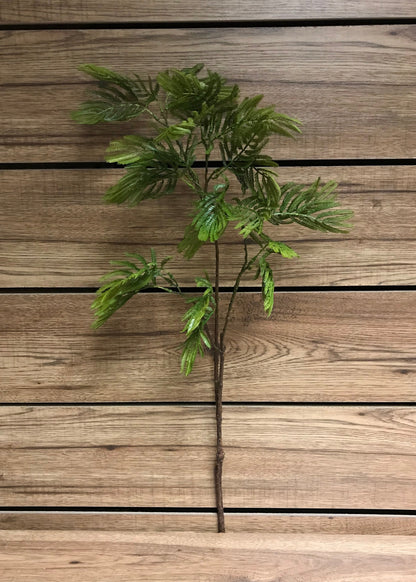 ACACIA NF (SPRAY DRIED) 2500 GM DS