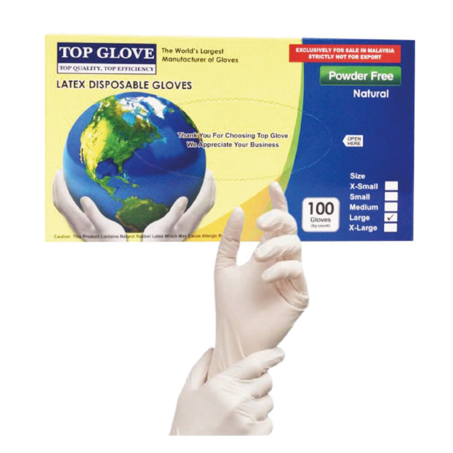 GLOVE LATEX P/F MED TX GLV 100