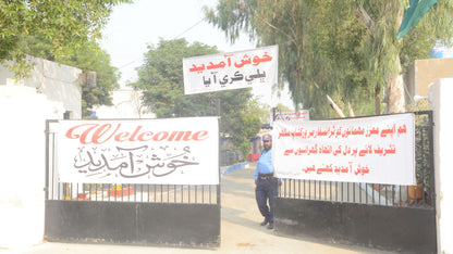 GLOVE-PHARMA 4X50 LRG STR PWF