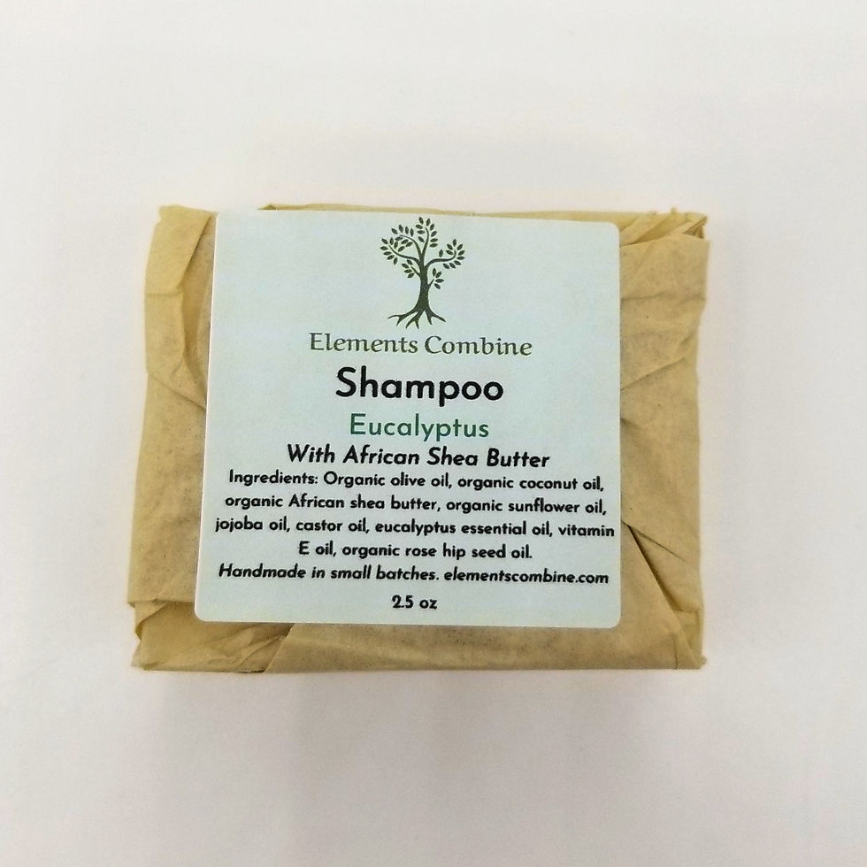 SHAMPOO,CHARCOAL EUCLYPT
