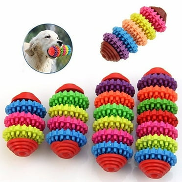Paws Premium Rubber Nobbly Wobbly Dog Toy