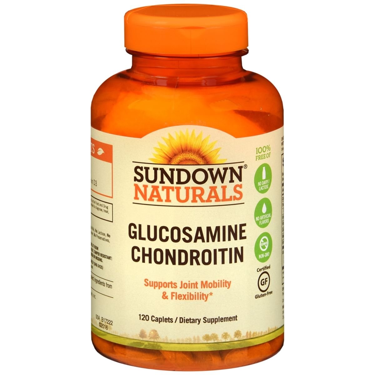 GLUCOSAMINE/CSA CP 120 TS