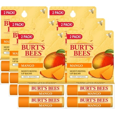 Burt's Bees Moisturizing Lip Balm - Honey, Carded