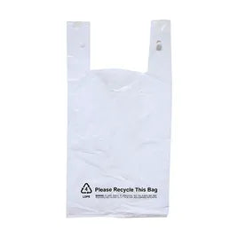 BAG AYP LG PLASTIC RX 7X12X2 1000