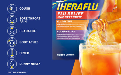 THERAFLU MAX STRENGTH RELIEF DT PWD 6CT