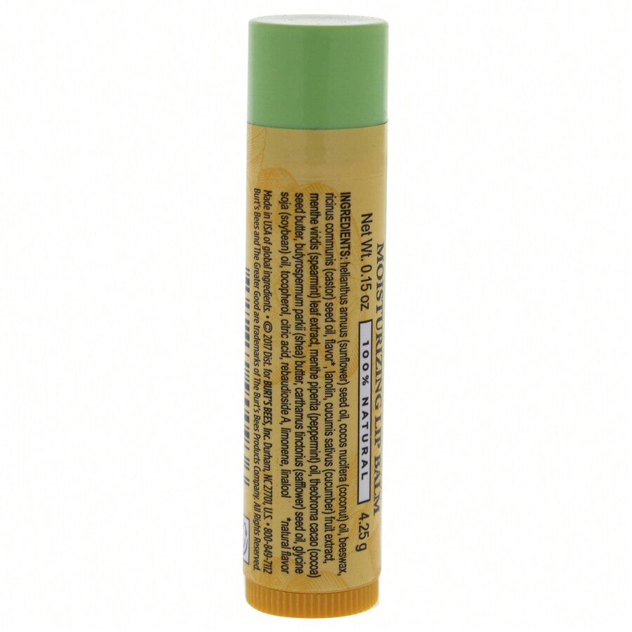 Burts Bees Lip Balm Moisturize Cucumber Mint (6in)