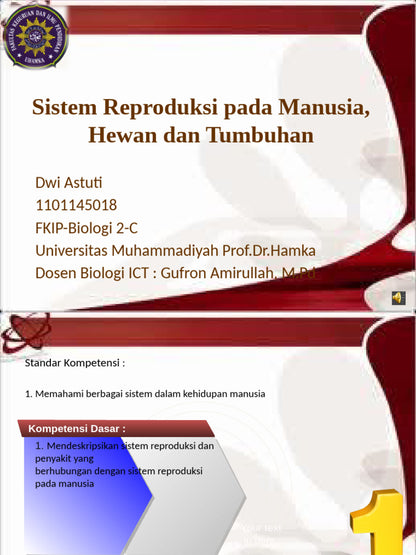 DOUBLE-ACTION HL CUSH PD MNS O/S