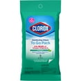 CLOROX Disinfecting To Go Travel Wipes - Fresh, 9 Count
