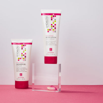 ANDALOU NATURALS SHOWER GEL,1000 ROSES