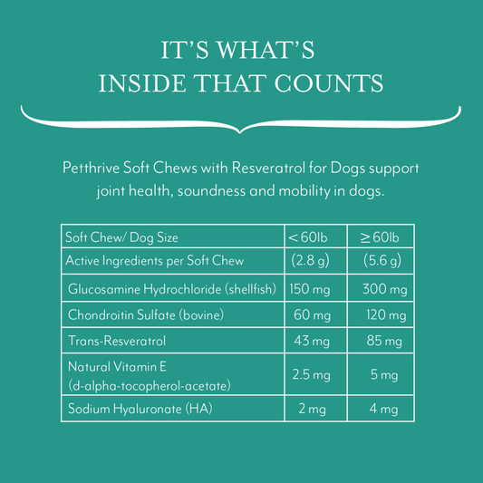 REJUV-A-WAFERS,DOGS&CATS