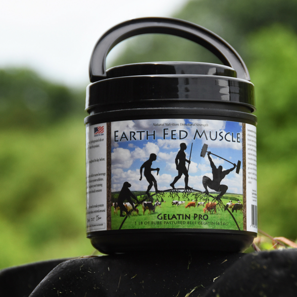 EARTH FED MUSCLE CSN PRTN,DK CHOC,NOCTRNAL
