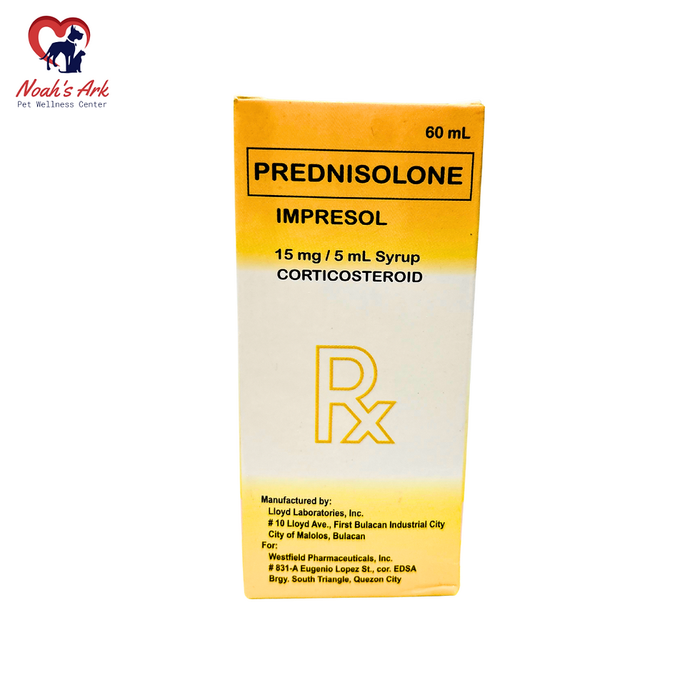 PREDNISOLONE SL15MG/5ML 240ML ORL