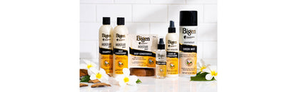 BIGEN MOISTURE PLUS SHAMPOO 12Z