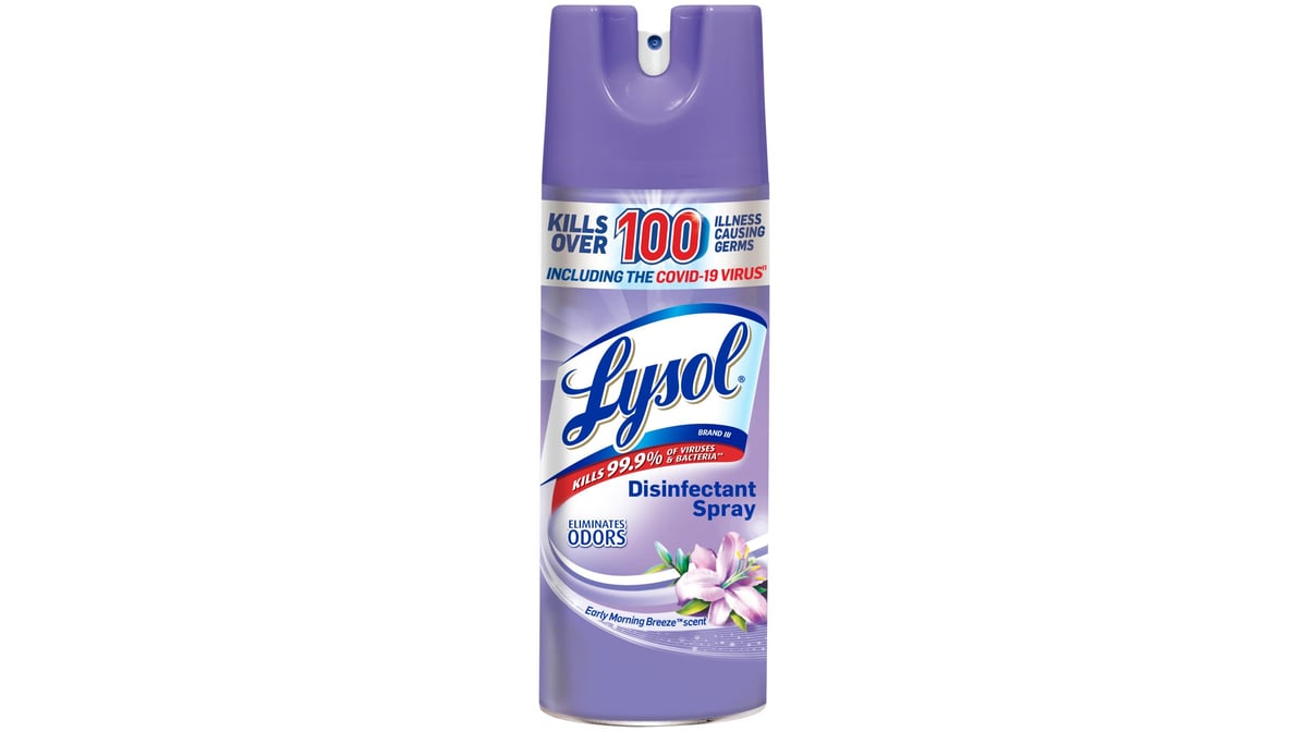 LYSOL EARLY MORNING BREEZE SPRY 12.5OZ