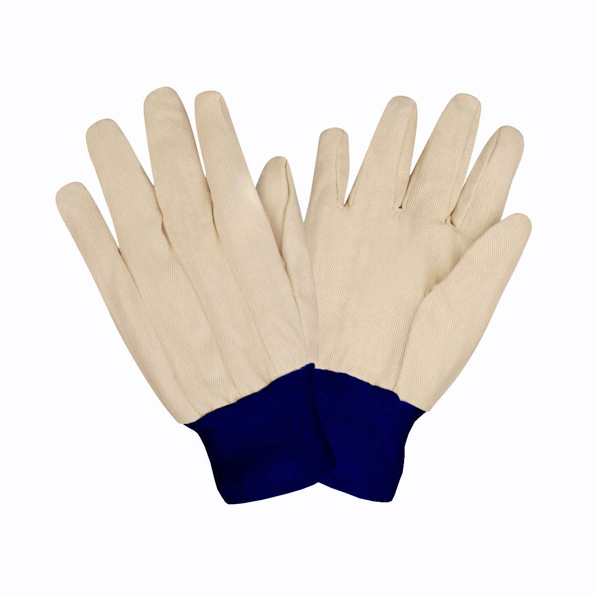 CORDOVA White Canvas Blue Wrist Durable Cotton Work Gloves