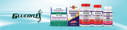 GLUCOFLEX JOINT LUBE LIQUID 16OZ