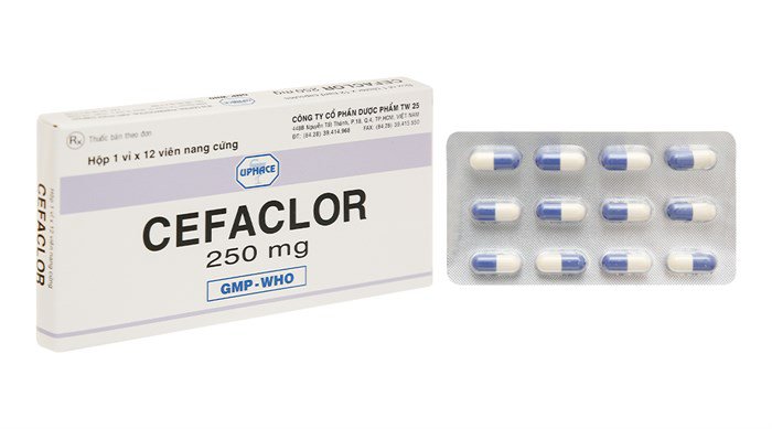 CEFACLOR CP 500MG 30