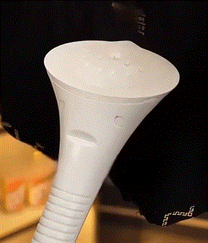 ESSNTIL MALE,OG2,SEX FNCT