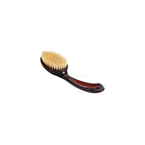 BASS BRUSHES BATH BDY,DENS WET,DRY
