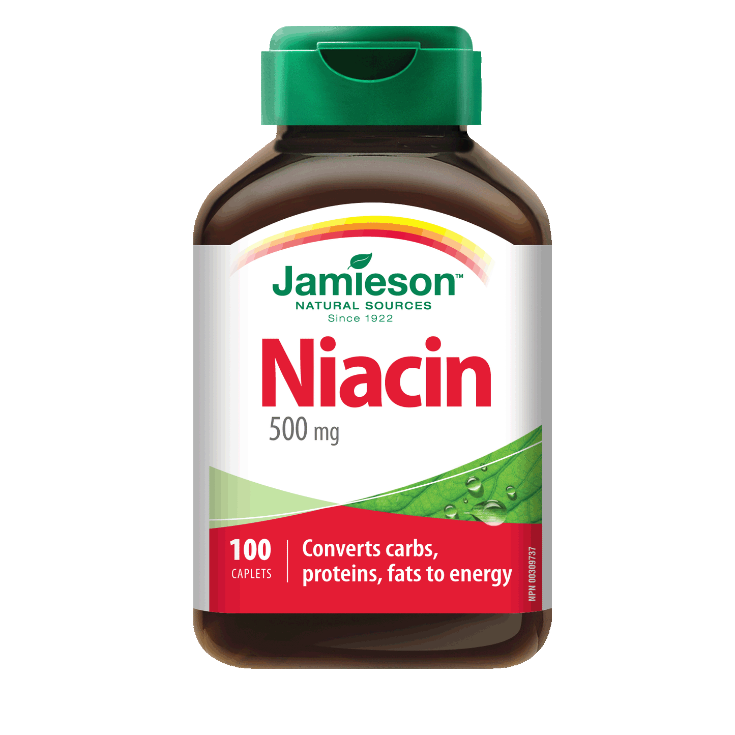 NT NIACIN CP 500MG 100 RRL FLS/F