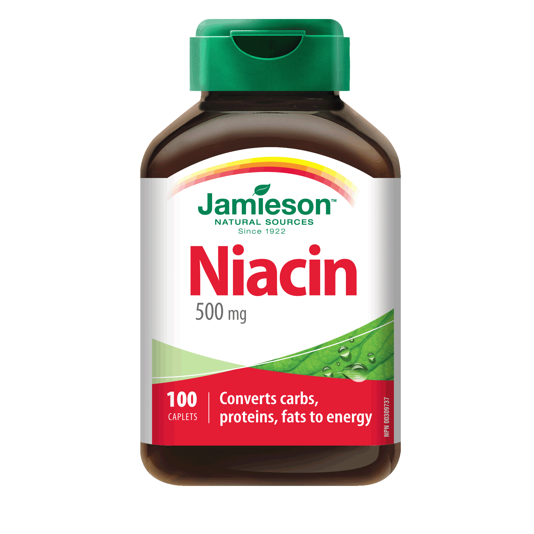 NT NIACIN CP 500MG 100 RRL FLS/F