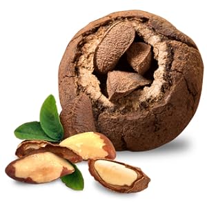 SUNFOOD BRAZIL NUTS,OG2,RAW