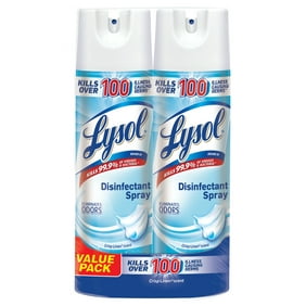 LYSOL DSFCT SPRY 12X19OZ EMBRZ