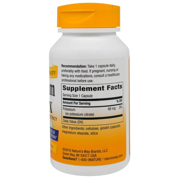 NATURE'S WAY POTASSIUM,99 MG
