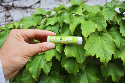 ECOLIPS LIP BALM,DSP,HEMP VANILLA