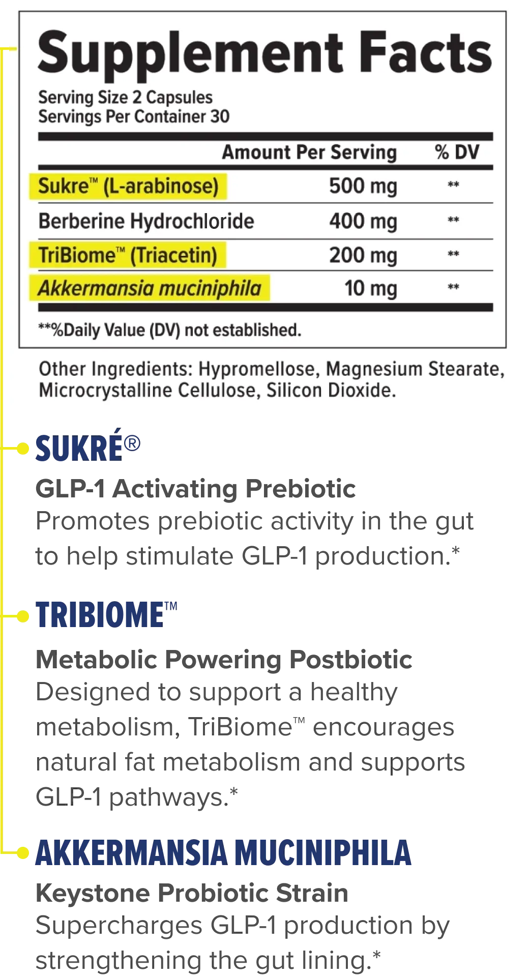 PROTIEN GLP-1 SPT PW 485GM MSC/GD