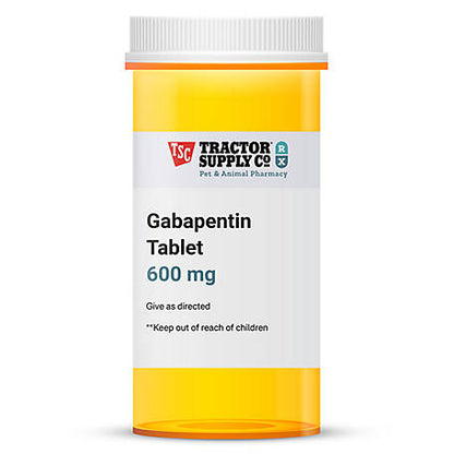 GABAPENTIN TB 600MG 90 ONCE-DAILY
