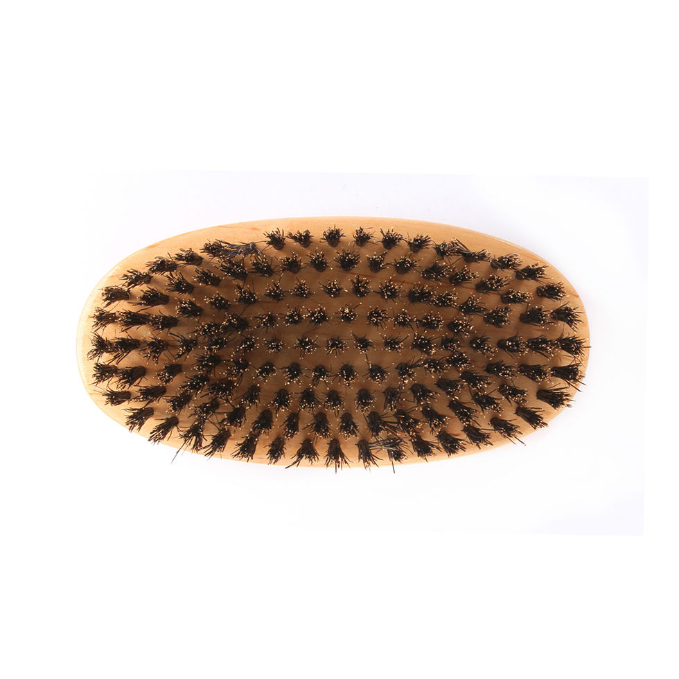 BASS BRUSHES BRUSH,BATH AND BODY