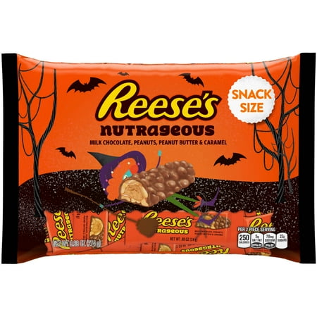 REESES NUTRAGEOUS 18X1.66OZ