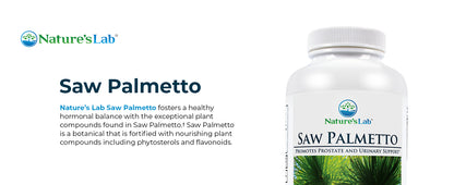 SAW PALMETTO CP 450MG 250 WHL