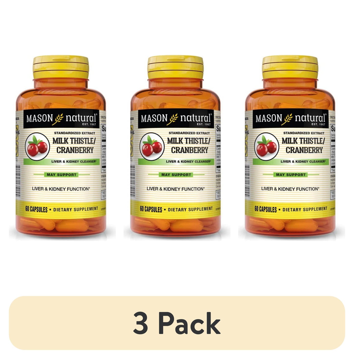 MASON NATURALS LIVER&KIDNEY CLEANSER