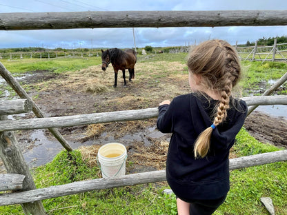PRECIOUS PONIES