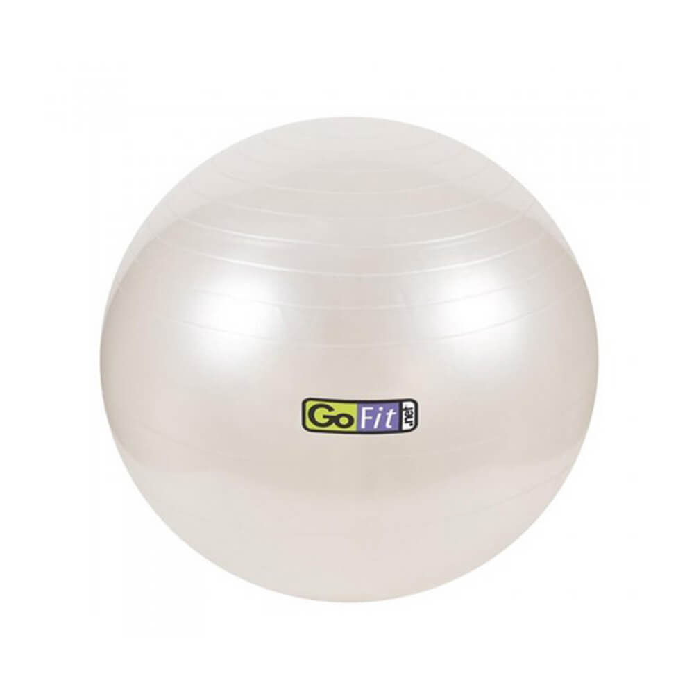 SC 65CM EXERCISE BALL WITH PMP