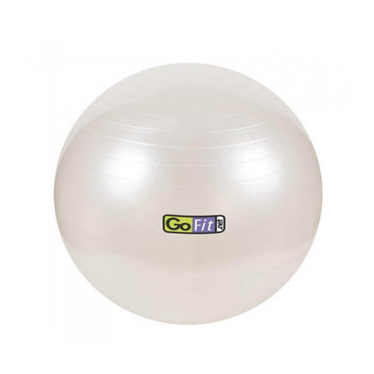 SC 65CM EXERCISE BALL WITH PMP